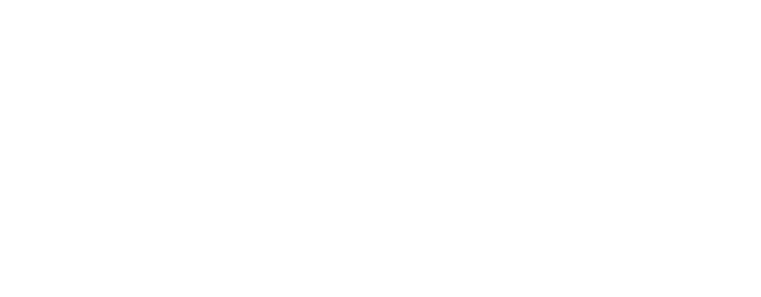 ARCHITECTURAL VISUALIZATIONS